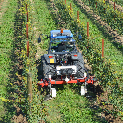 Travail sous le rang